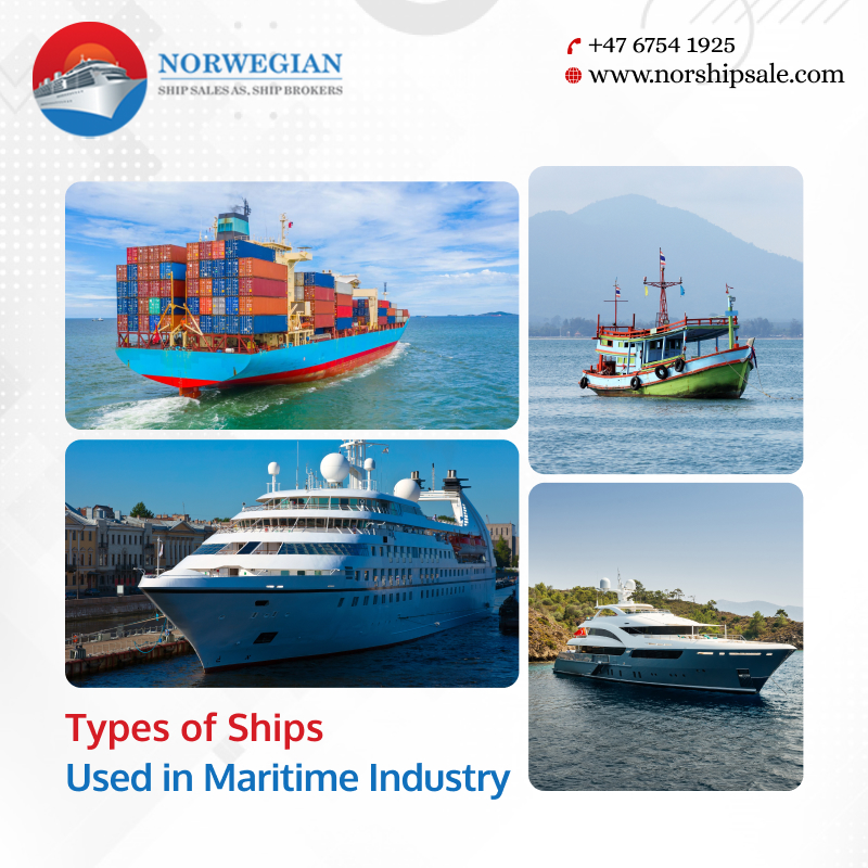 What are the Different Types of Ships Used in Maritime Industry?